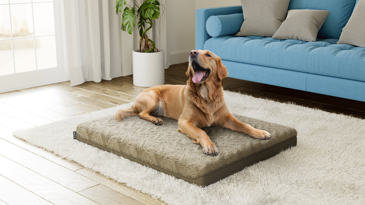 TEMPUR Original Supreme マットレス 140x195x21 TEMPUR®